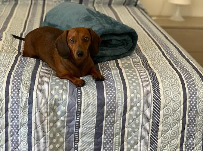 Casa Mitila 아파트